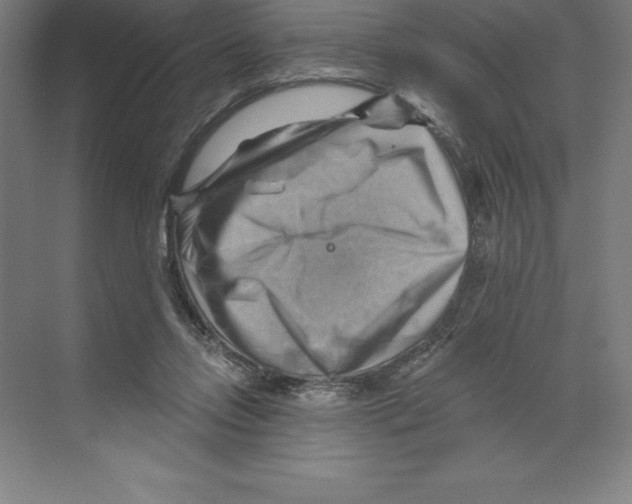 X0000068820358200606021623