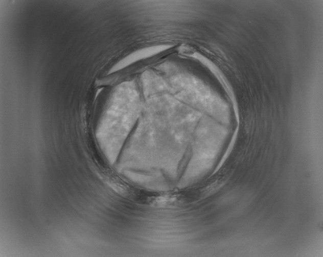 X0000068820366200606021623