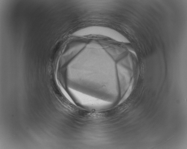 X0000068820367200606021623