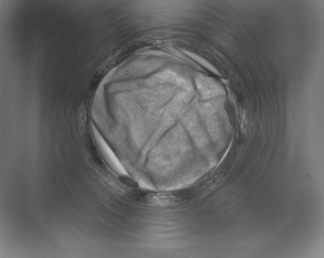 X0000068820372200606021623