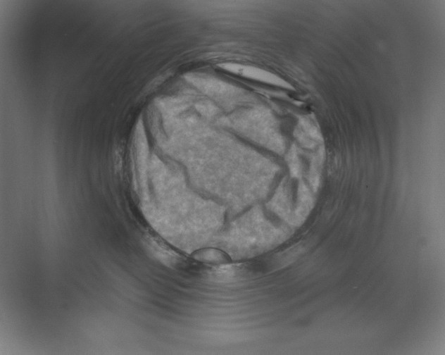 X0000068820382200606021623