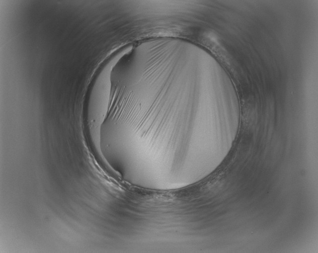 X0000068820386200606021622