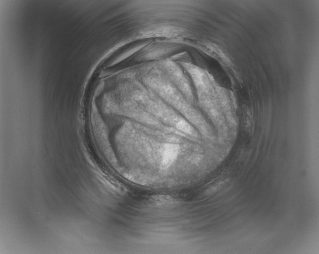 X0000068820392200606021622