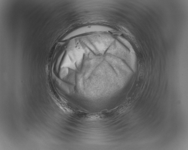 X0000068820405200606021622