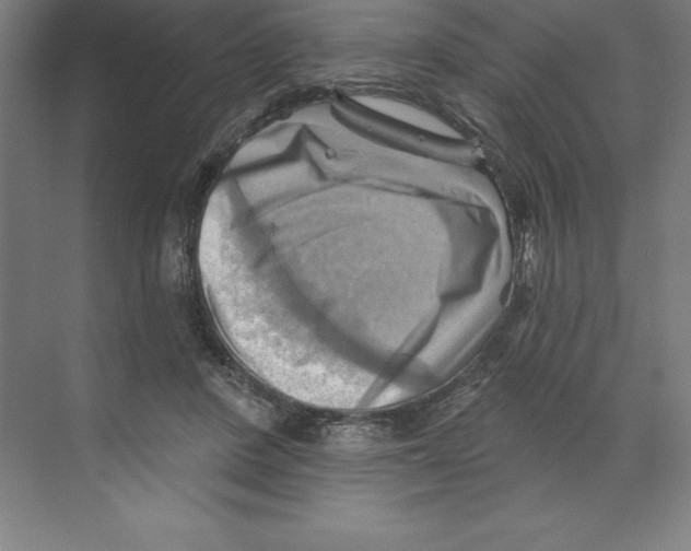 X0000068820408200606021622