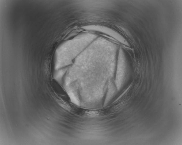 X0000068820409200606021622