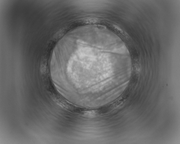 X0000068820411200606021622
