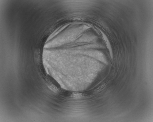 X0000068820413200606021622