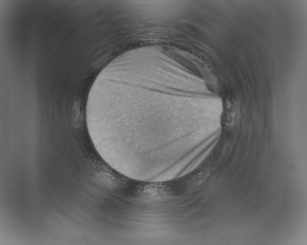X0000068820420200606021622