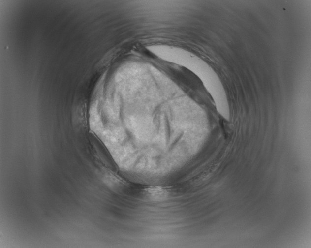 X0000068820425200606021622
