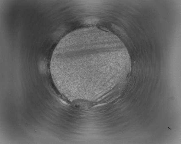 X0000068820428200606021622