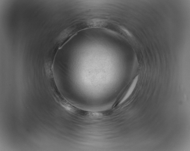 X0000068820429200606021622
