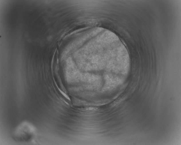 X0000068820432200606021622