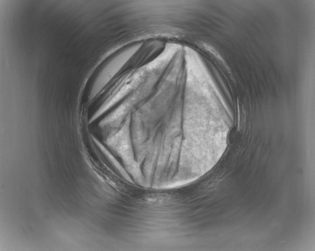 X0000068820435200606021621