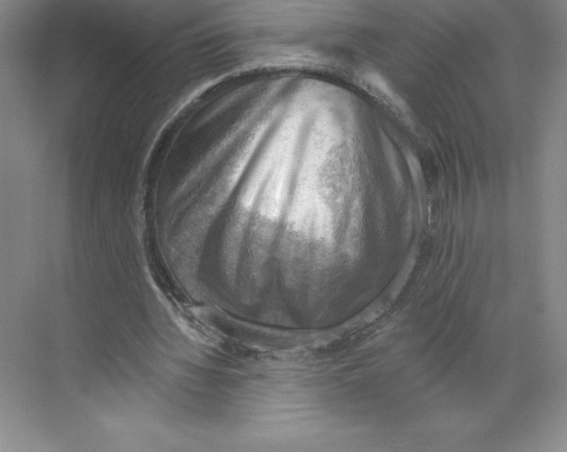 X0000068820436200606021621