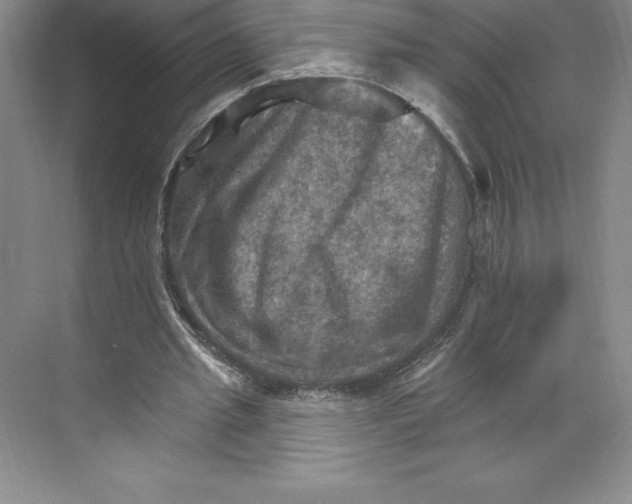 X0000068820437200606021621