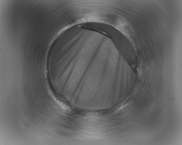 X0000068820438200606021621
