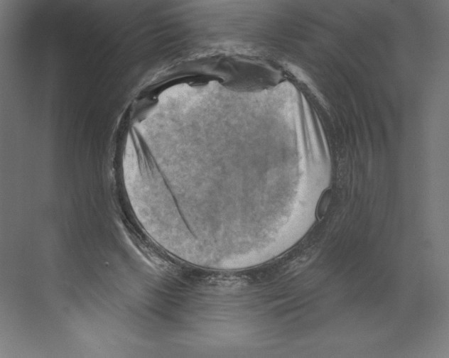 X0000068820443200606021621