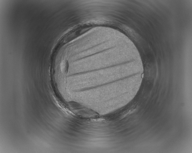 X0000068820446200606021621