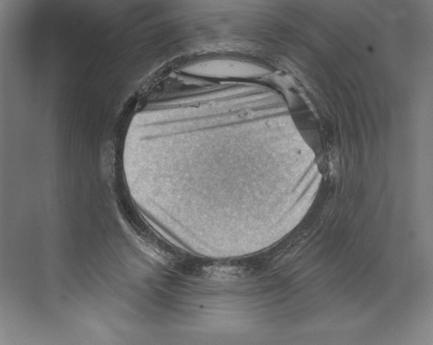 X0000068820448200606021621
