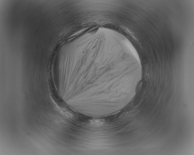 X0000068820451200606021621