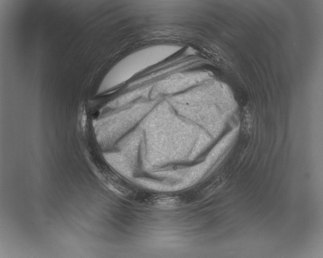 X0000068820456200606021621