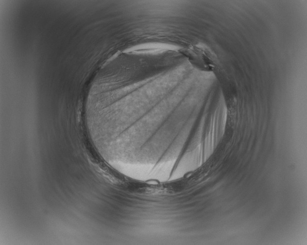 X0000068820458200606021621