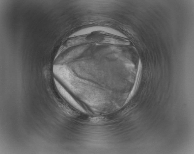 X0000068820461200606021621