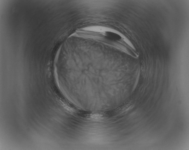 X0000068820462200606021621