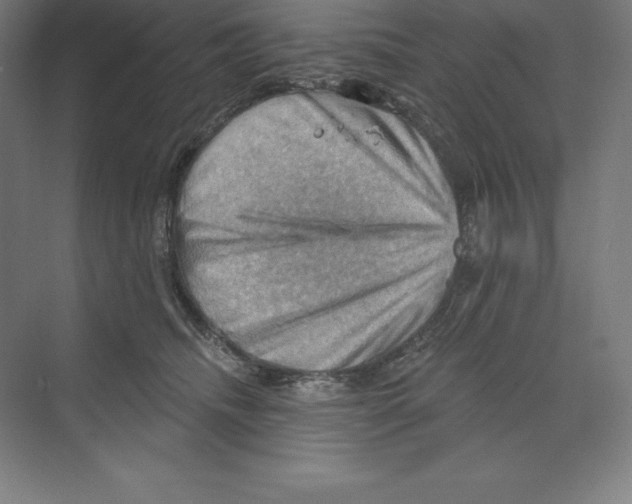 X0000068820468200606021621