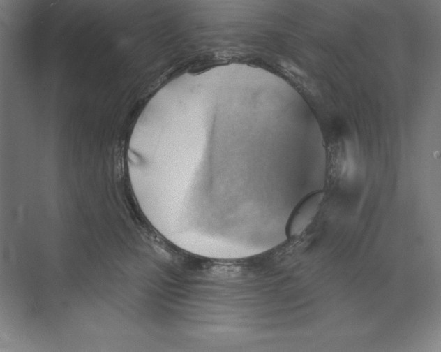 X0000068820471200606021621