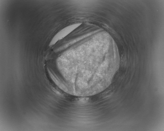 X0000068820474200606021621