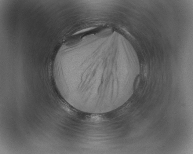 X0000068820475200606021621