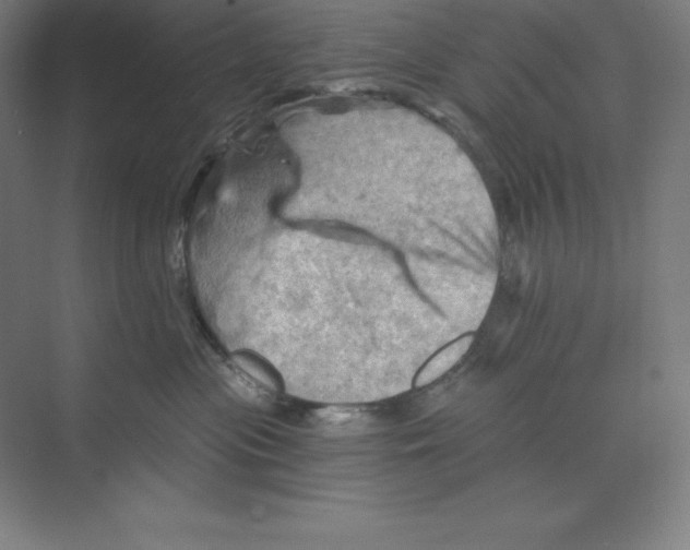 X0000068820477200606021621