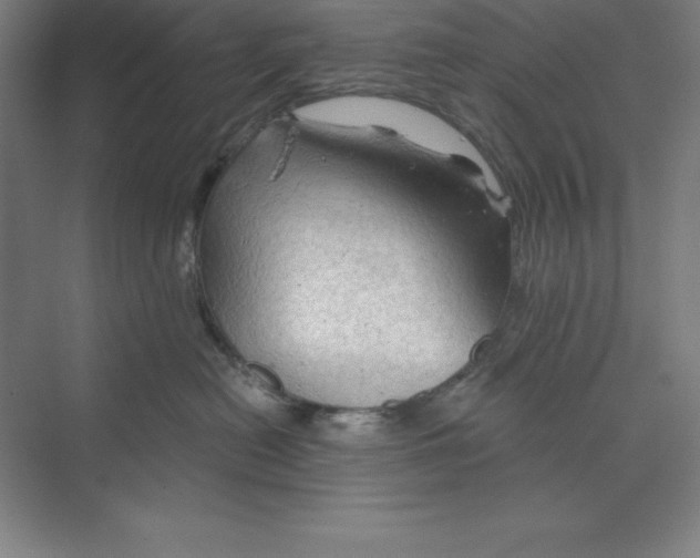 X0000068820478200606021622