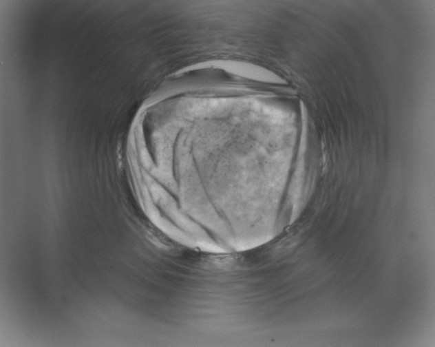 X0000068820479200606021622