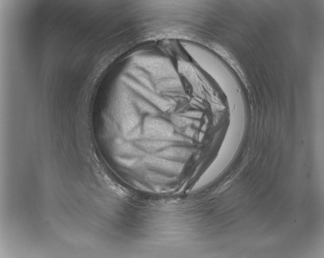 X0000068820481200606021621