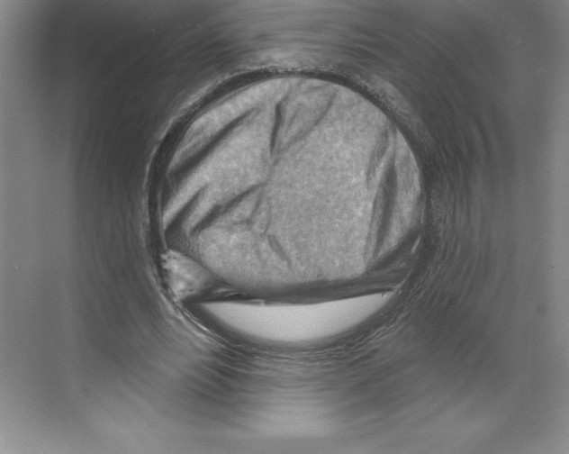 X0000068820488200606021621