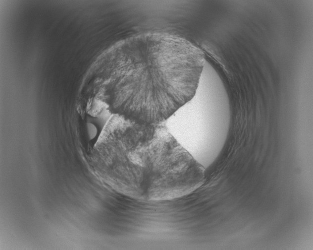 X0000068820491200606021621
