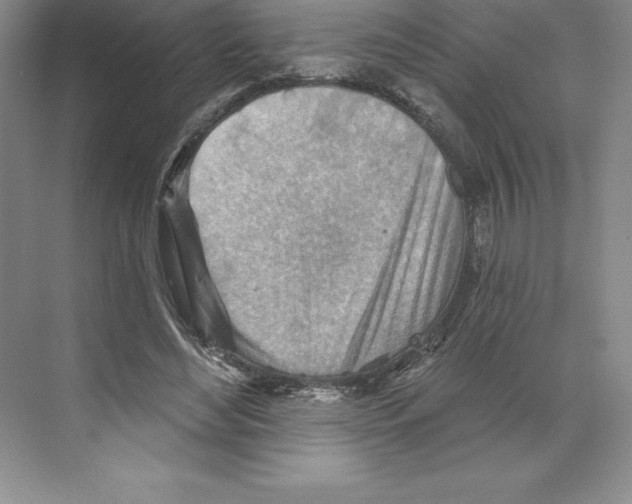 X0000068820492200606021621