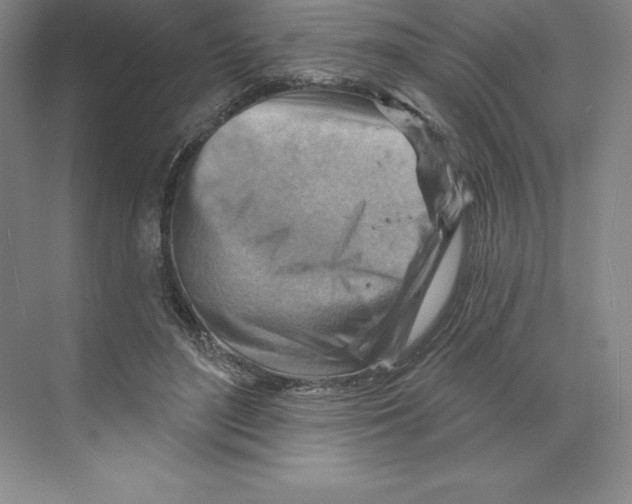 X0000068820500200606021620