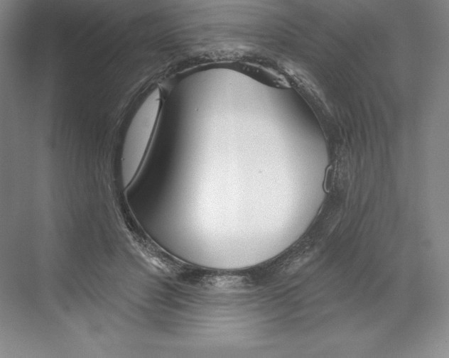 X0000068820501200606021620