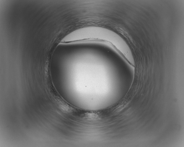 X0000068820509200606021620