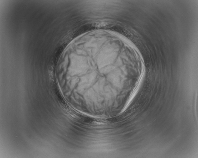 X0000068820510200606021620