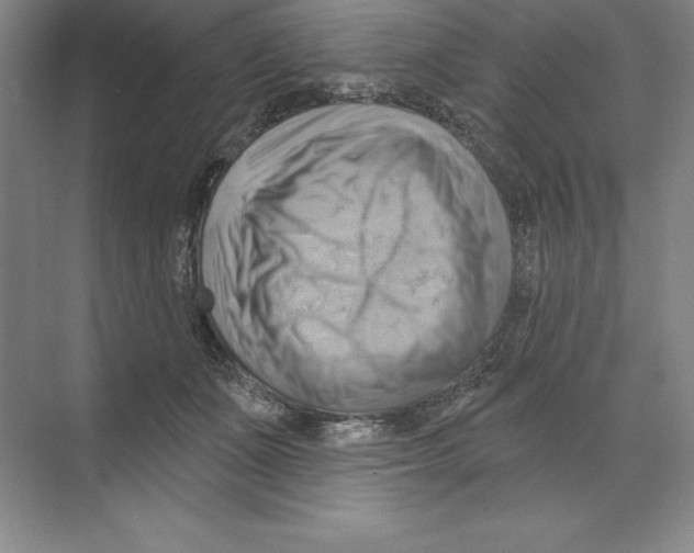 X0000068820511200606021620