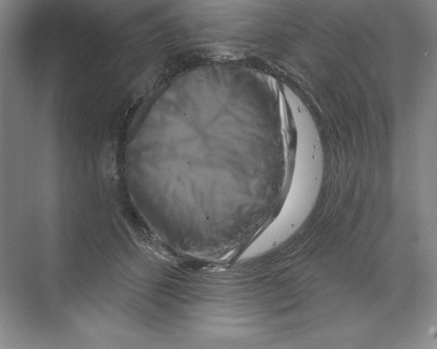 X0000068820512200606021620