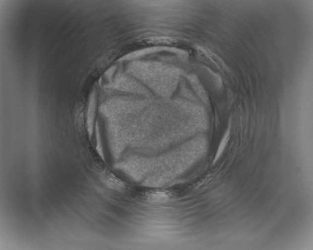 X0000068820513200606021620