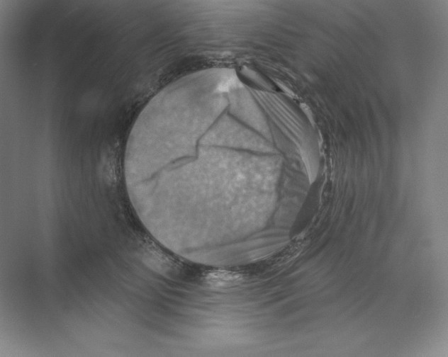 X0000068820515200606021620