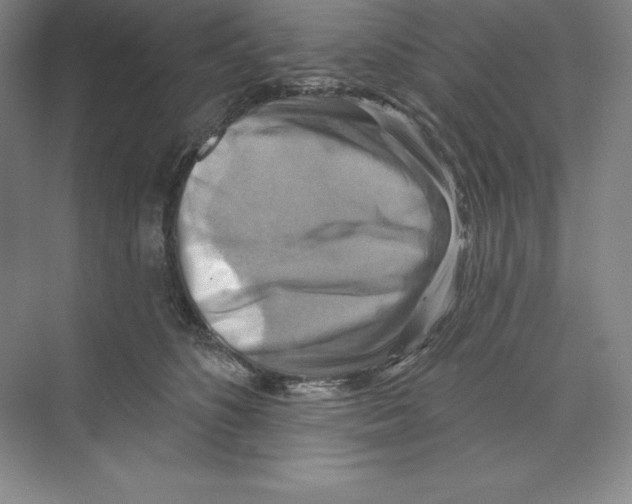 X0000068820516200606021620