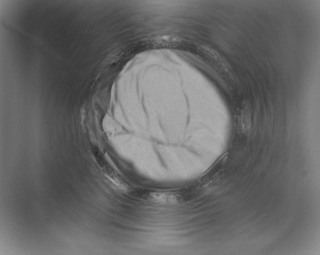 X0000068820520200606021620